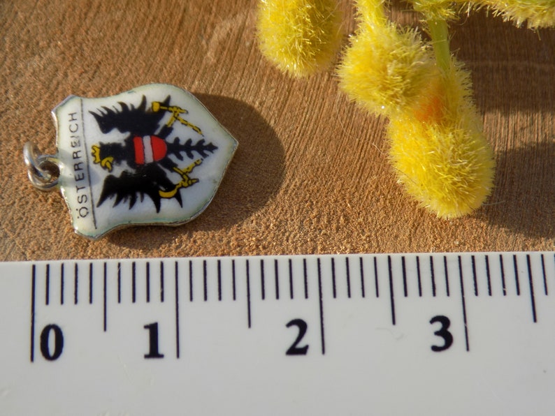 K&ouml;nnte beinhalten: Ein kleiner, schildf&ouml;rmiger Anh&auml;nger mit dem &ouml;sterreichischen Wappen. Der Anh&auml;nger zeigt einen schwarzen Adler mit einem rot-wei&szlig;em Schild auf wei&szlig;em Grund, mit dem Wort "&Ouml;STERREICH" in Schwarz. Ein Lineal befindet sich im Vordergrund.