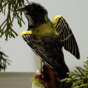 May include: A ceramic bird figurine featuring a glossy black head and back with bright yellow accents on the chest and wings. The bird has detailed black wing feathers with white outlines and is perched on a brown branch-like base with green leaves.