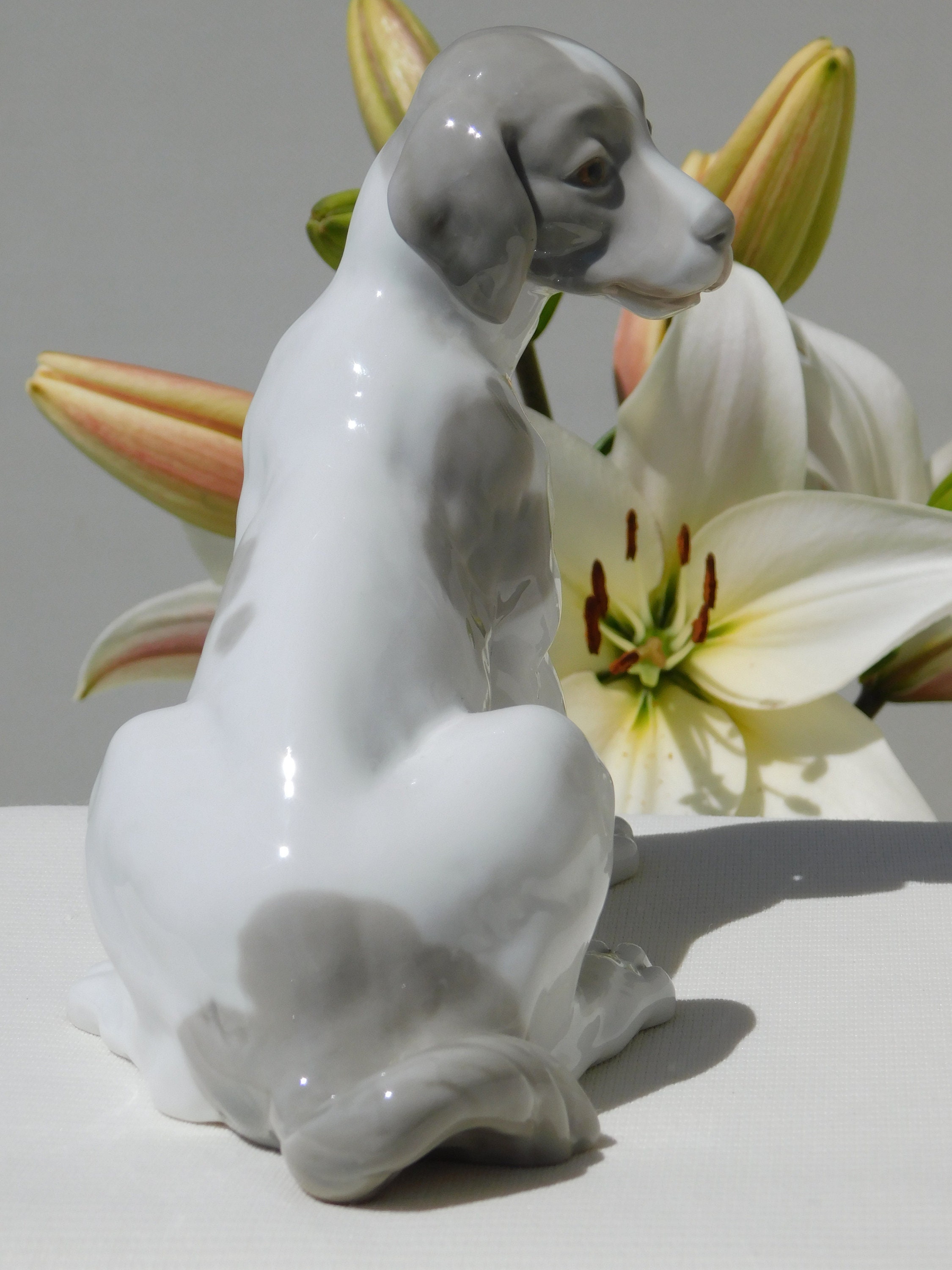 NAO BY LLADRÓ Porcelain Dog Figurine.retired Nao by Lladró Animal