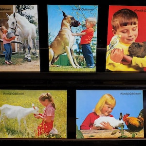 VINTAGE SET OF 5 Postcards Showing Animals And Children.Vita Nova Hank.Set van 5 Vintage Onbeschreven Postkaarten.Kaart Dier+Kind.Fraai!