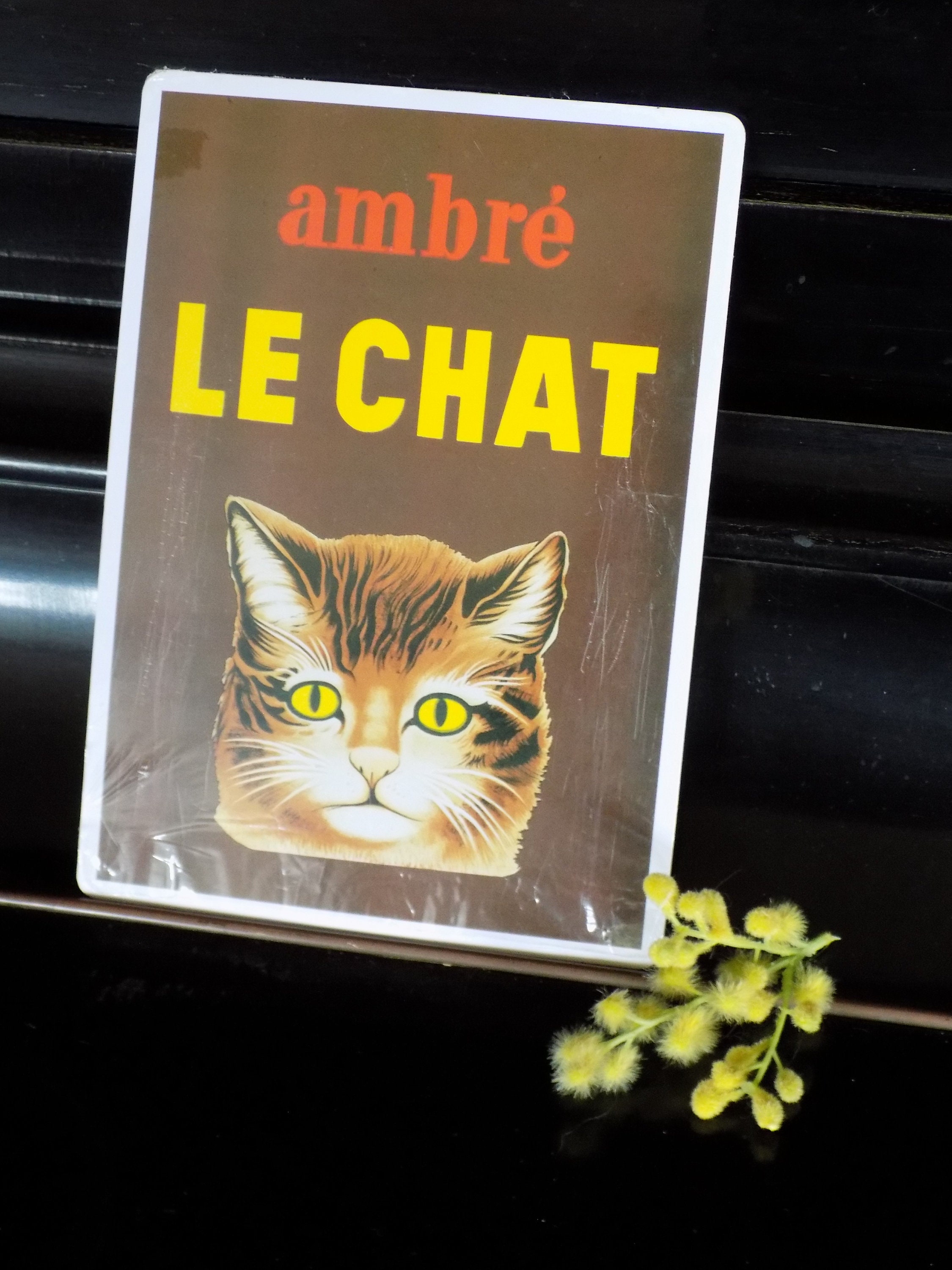 Ambre Le Chat Vintage Grande Carte Postale Metal Editions Etsy Sweden