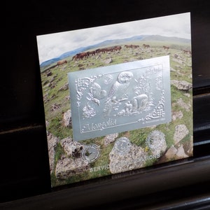 Op de afbeelding: Een zilveren postzegel met een sneeuwuil en het woord "Mongolië" erop gedrukt. De postzegel is omgeven door een decoratieve rand en heeft de datum 2004.