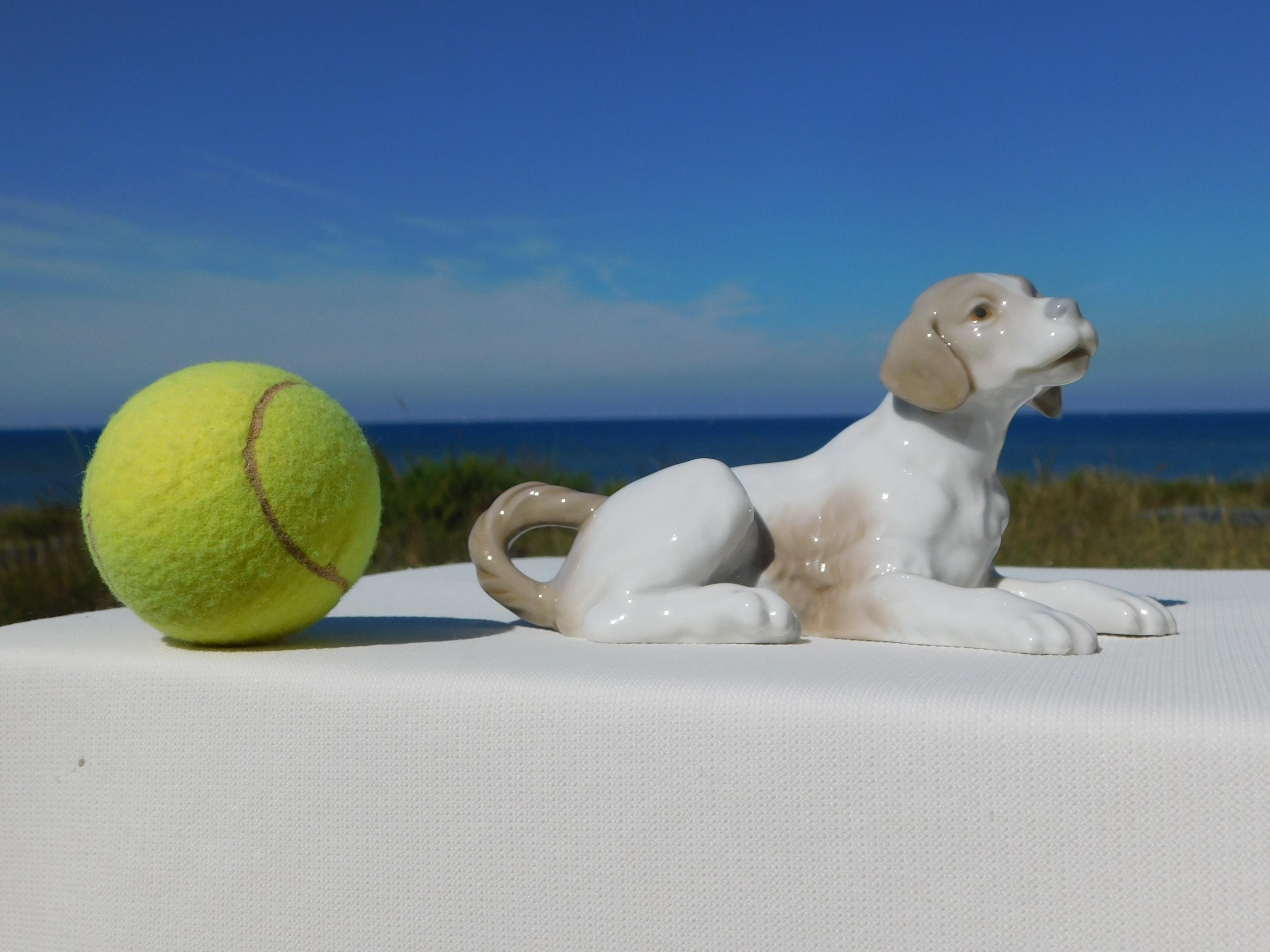 NAO BY LLADRÓ Porcelain Dog Figurine.retired Nao by Lladró Animal