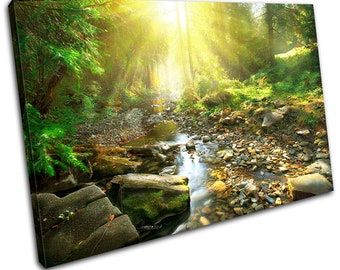 Fantasy Lion Wild animal Art light streams Ready to Hang Canvas X1212