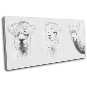 Llama Alpaca Drawing Simple Animals SINGLE  Canvas Art Print Box Framed Picture Wall Hanging