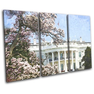 White House USA Blossom Landmarks TREBLE  Canvas Art Print Box Framed Picture Wall Hanging