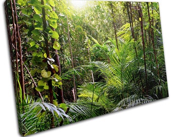 Tropical Rainforest Jungle Landscapes SINGLE  Canvas Art Print Box Framed Picture Wall Hanging