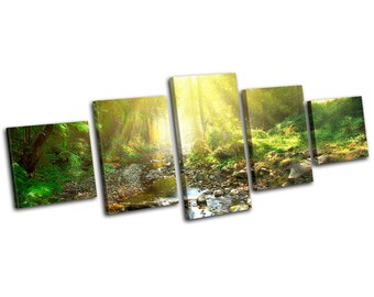 Woodland River Stream Forest Landscapes MULTI  Canvas Art Print Box Framed Picture Wall Hanging