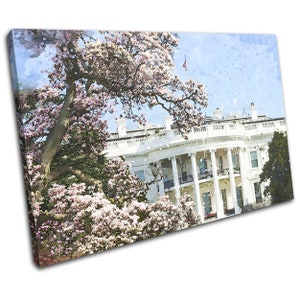 White House USA Blossom Landmarks SINGLE  Canvas Art Print Box Framed Picture Wall Hanging