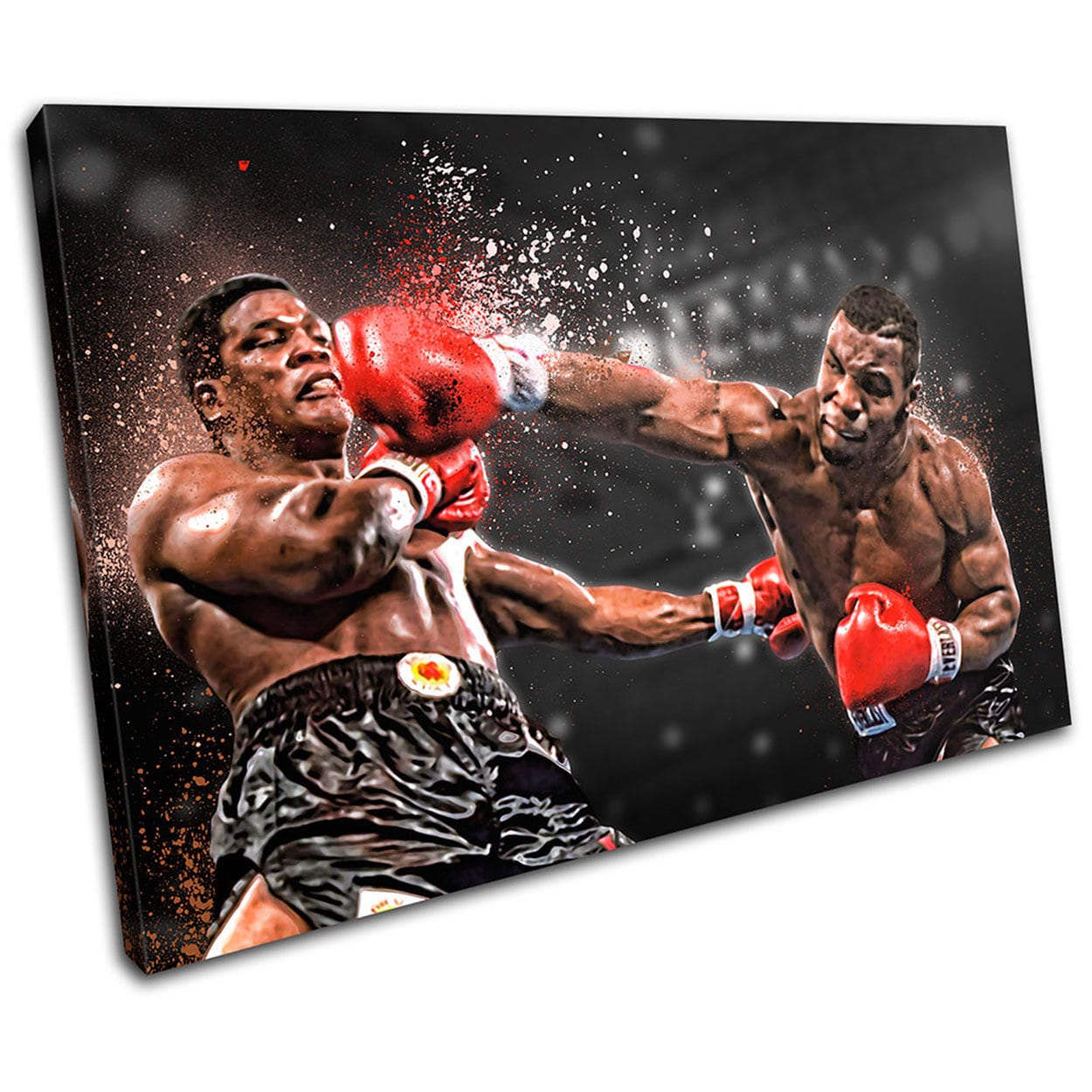Boxing Gloves Boxer Mike Tyson Sports Canvas Art Print