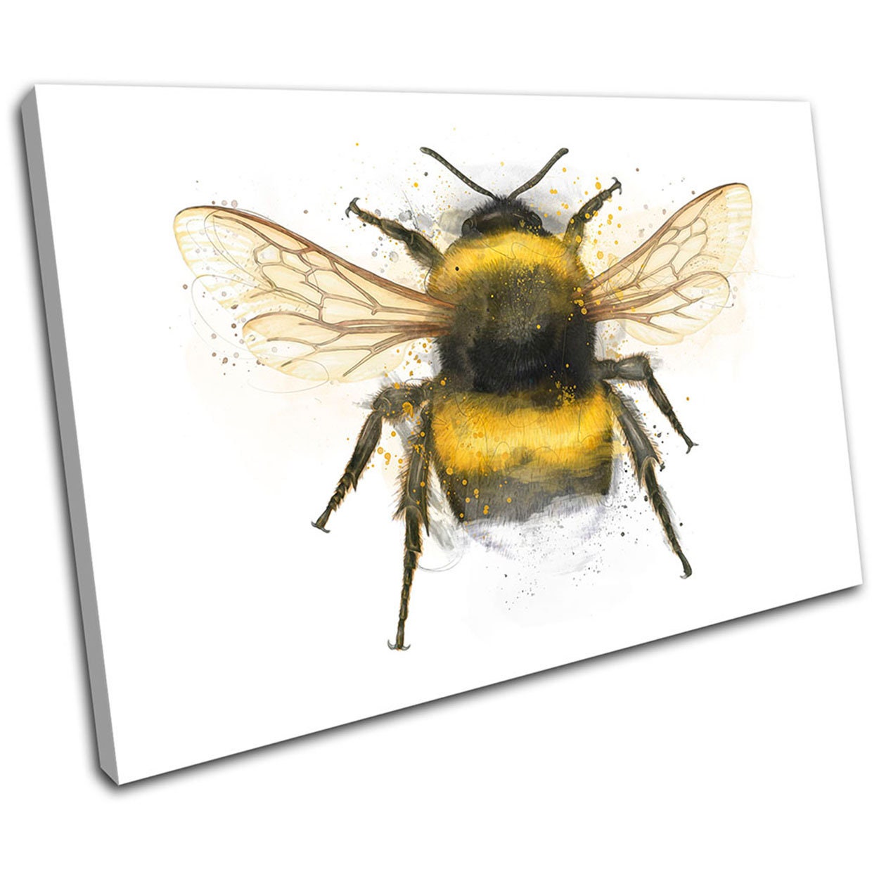 Bumble Bee Nature Paint Animals SINGLE  Canvas Art Print Box Framed Picture Wall Hanging