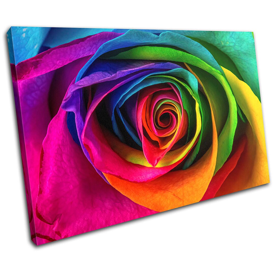 Colourful Rainbow Rose Flower Floral SINGLE Canvas Art Print Box Framed ...