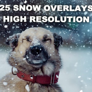 Snow overlays for photoshop,Winter overlays photoshop,Snow filter,Photo overlays,Snowflakes overlay