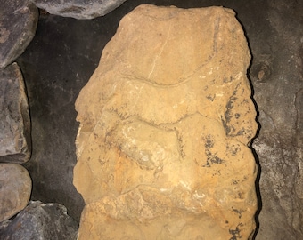 slate stone for bearded dragon