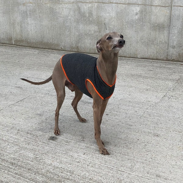 Italian Greyhound summer shirt anthracite with neon Orange cuffs