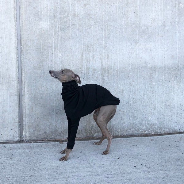 Italian Greyhound jumper black&black long sleeves