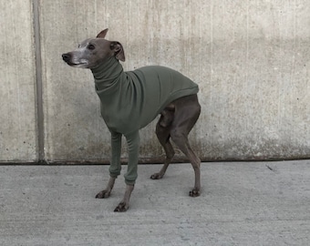 Italian Greyhound jumper olive&olive long sleeves