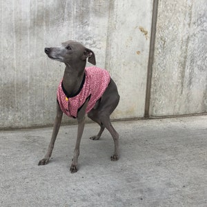 Italian Greyhound Corduroy Vest Pink