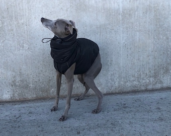 Italian Greyhound Waterproof Vest Black