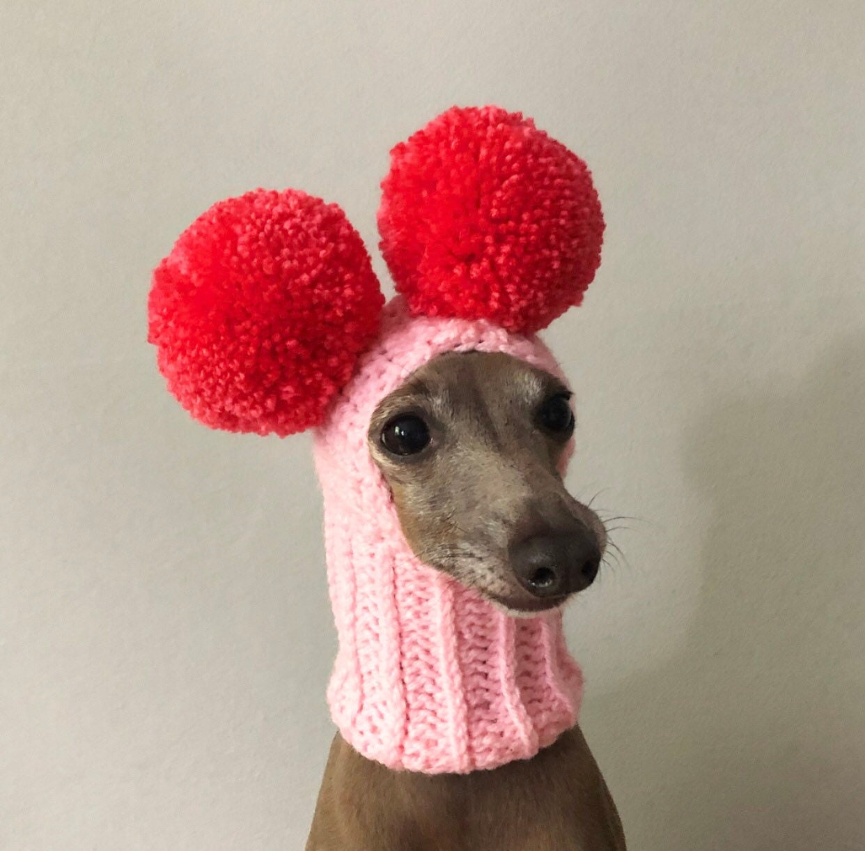 Hat Italian Greyhound Italian Greyhound Galgo Italiano Two Pompoms - Etsy  Norway, image size:1242x1221