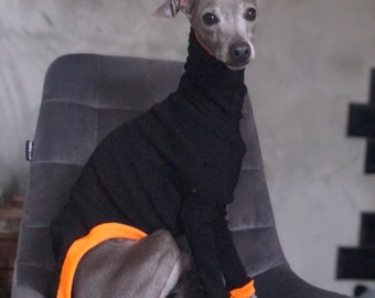 Italian Greyhound/greyhound jumper/golf Black/orange long sleeves