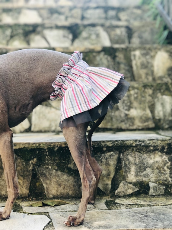Greyhound skirt hotsell