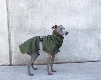 Italian Greyhound Raincoat olive