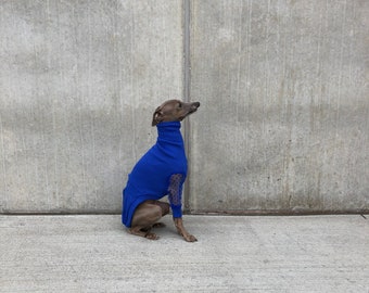 Italian Greyhound jumper Blue tulle polka dots sleeves