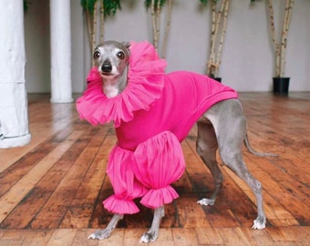 Italian Greyhound jumper fuchsia long tulle sleeves Tika