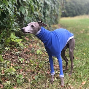 Pull Lévrier Italien Bleu/Gris Clair manches longues