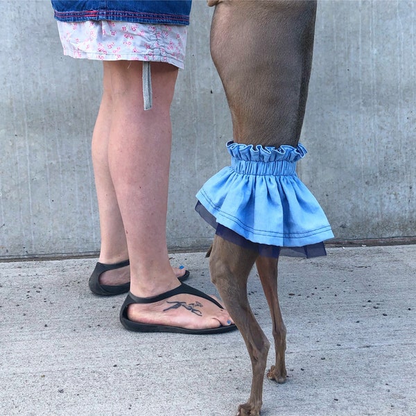 Italian Greyhound denim skirt NOWOŚĆ