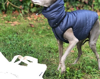 Italian Greyhound Waterproof Vest Navy