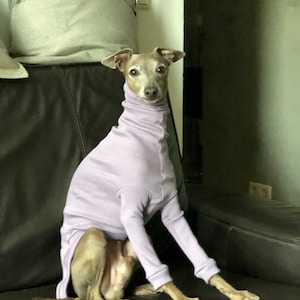 Pull lévrier italien Lavendel