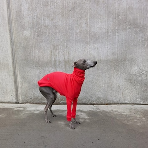 Italian Greyhound jumper long sleeves Red