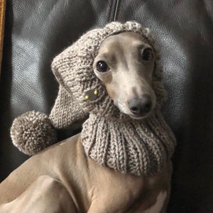 Cap Italian Greyhound Italian Greyhound Galgo Italiano beige