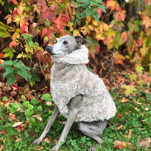 Italian Greyhound Sherpa Vest (teddy) LIMITED