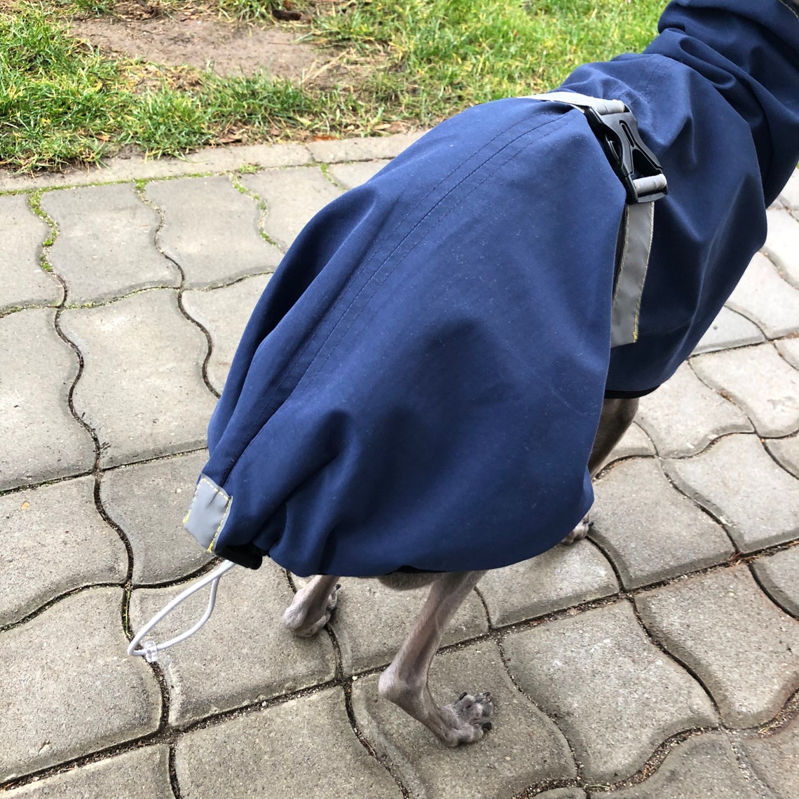 Italian Greyhound Raincoat Navy Raincoat for CHARCIKA Etsy