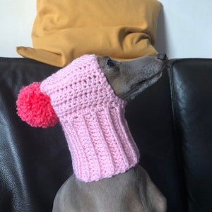 Hat Italian Greyhound Italian Greyhound Galgo Italiano Pink