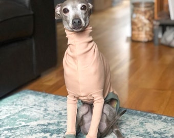 Italian Greyhound jumper Walnut / olive long sleeves