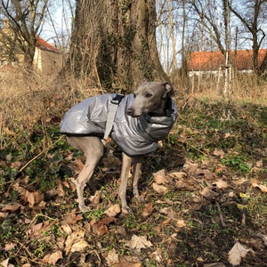 Italian Greyhound Wintercoat Gray Shine winter coat for Greyhound