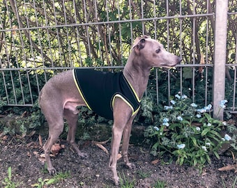 Italian Greyhound/greyhound summer shirt sport shirt Black&neon