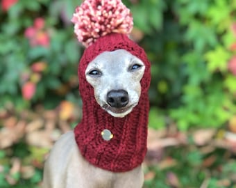 Hat Italian Greyhound Greyhound Italian Galgo Italiano Burgundy or green with multi pompom