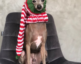 Hand Made Santa Knit hat Italian Greyhound Galgo Italiano Christmas