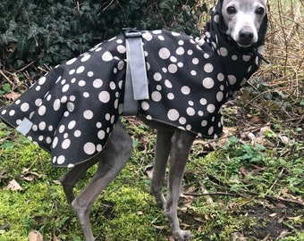 Italian Greyhound Raincoat