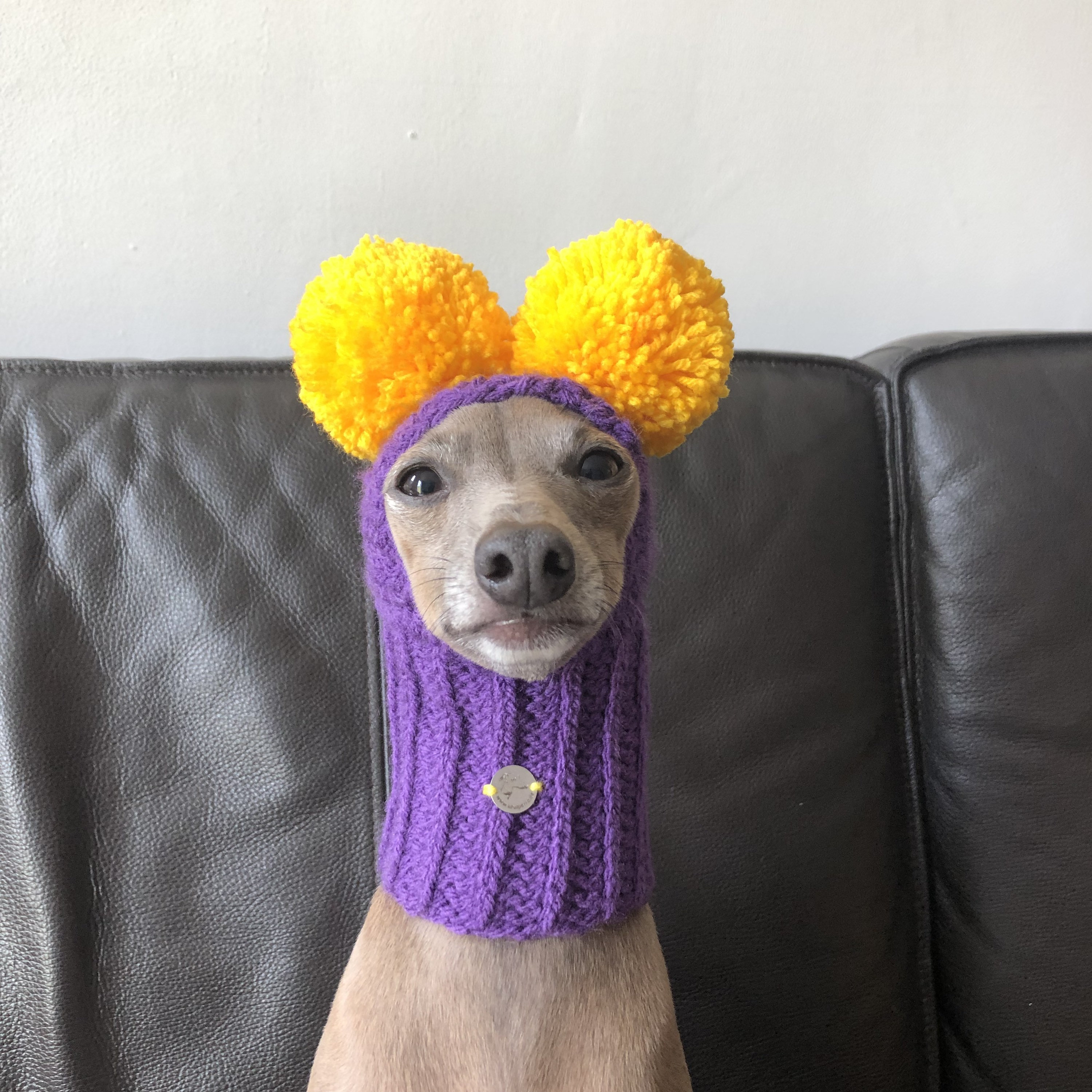 Hat Italian Greyhound Two Pompoms LA Lakers -  Norway