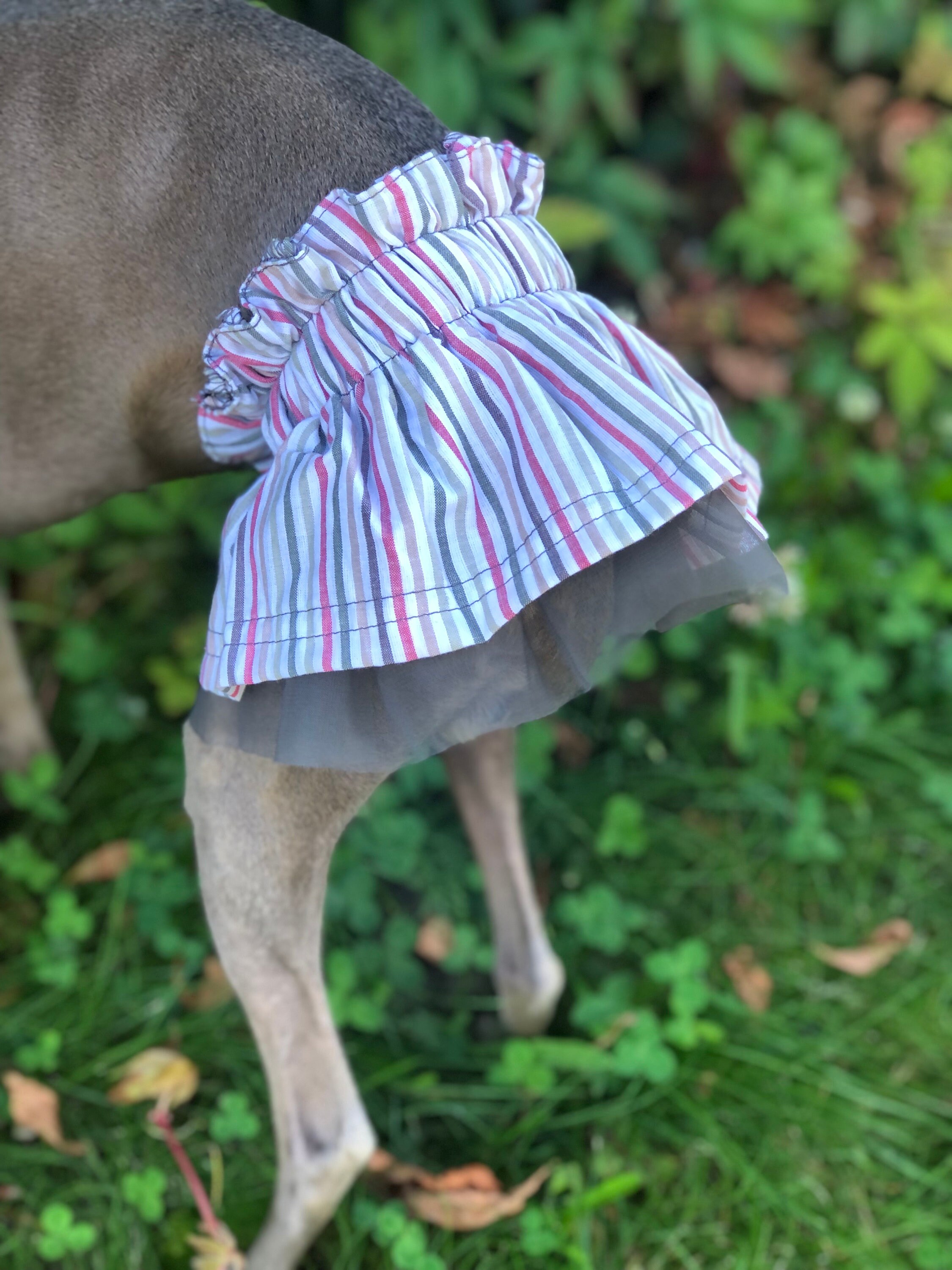 A greyhound skirt sales
