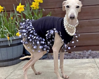 Italian Greyhound dress black with soft tulle