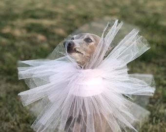 Italian Greyhound/greyhound tulle collar Light Pink