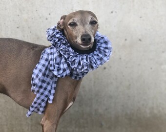 Italian Greyhound chiffon collar "Black&White"