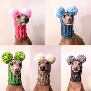 Hat Italian Greyhound Cap Italian Greyhound Galgo Italiano Two pompoms Original Azul Perro